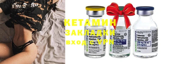 индика Нея