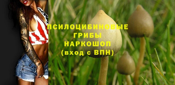 mix Аркадак